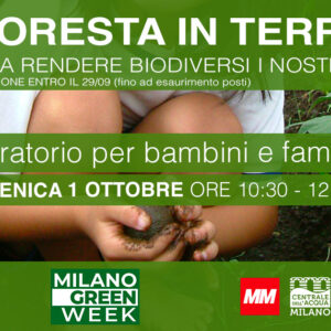 Una foresta in terrazzo. Impariamo a rendere biodiversi i nostri balconi - Laboratorio per bambini e famiglie | Domenica 1 ottobre dalle 10.30 alle 12.30 - Milano Green Week 2023